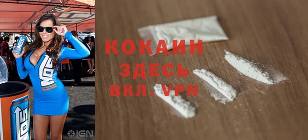 индика Бородино