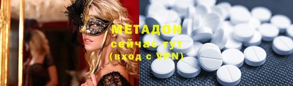 индика Бородино