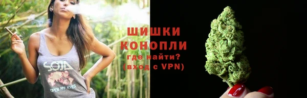 индика Бородино