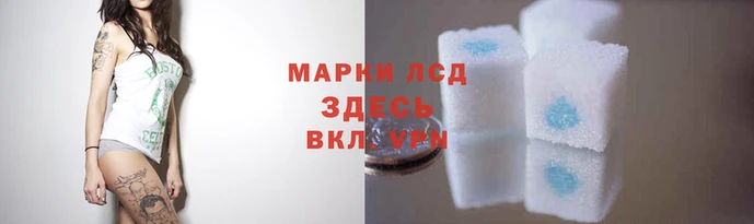 мескалин Бронницы