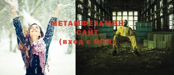 индика Бородино
