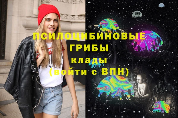 индика Бородино