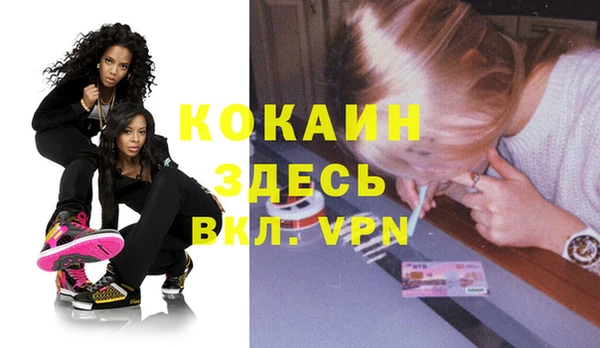 прущие грибы Михайлов