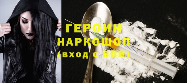 индика Бородино